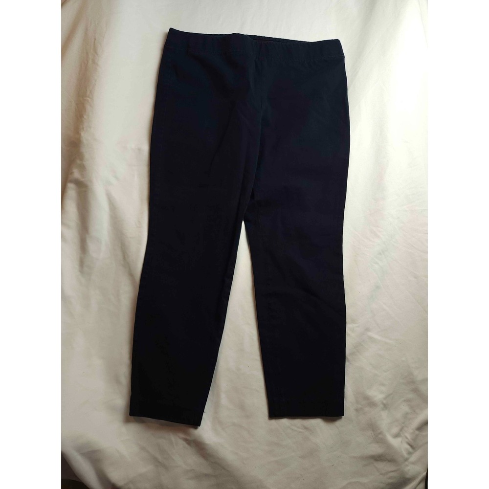 Talbots Skinny Ankle Pants Womens Size 12P Blue Woven Casual Modern Office Work